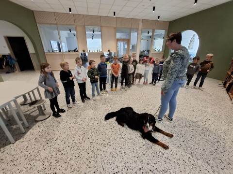 Werelddierendag